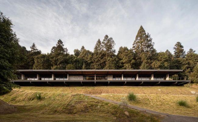 ENTRE CABALLOS Y NATURALEZA EN HUIXQUILUCAN 