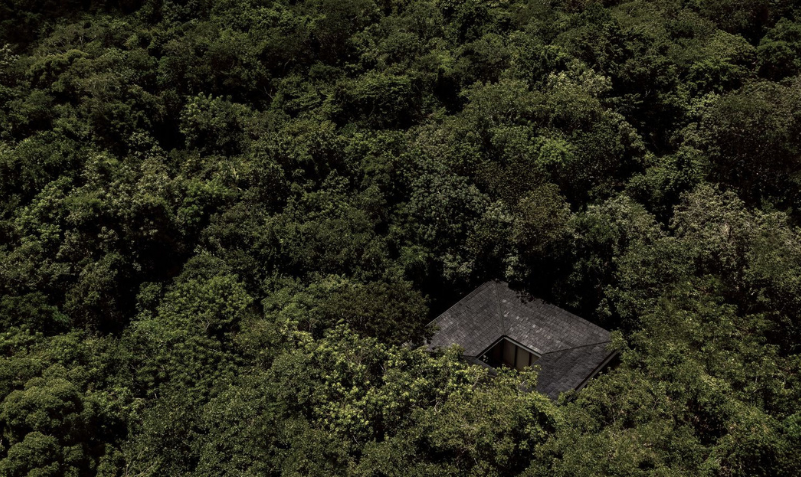 Boca de Agua El Innovador Hotel de Frida Escobedo en la Selva de Bacalar