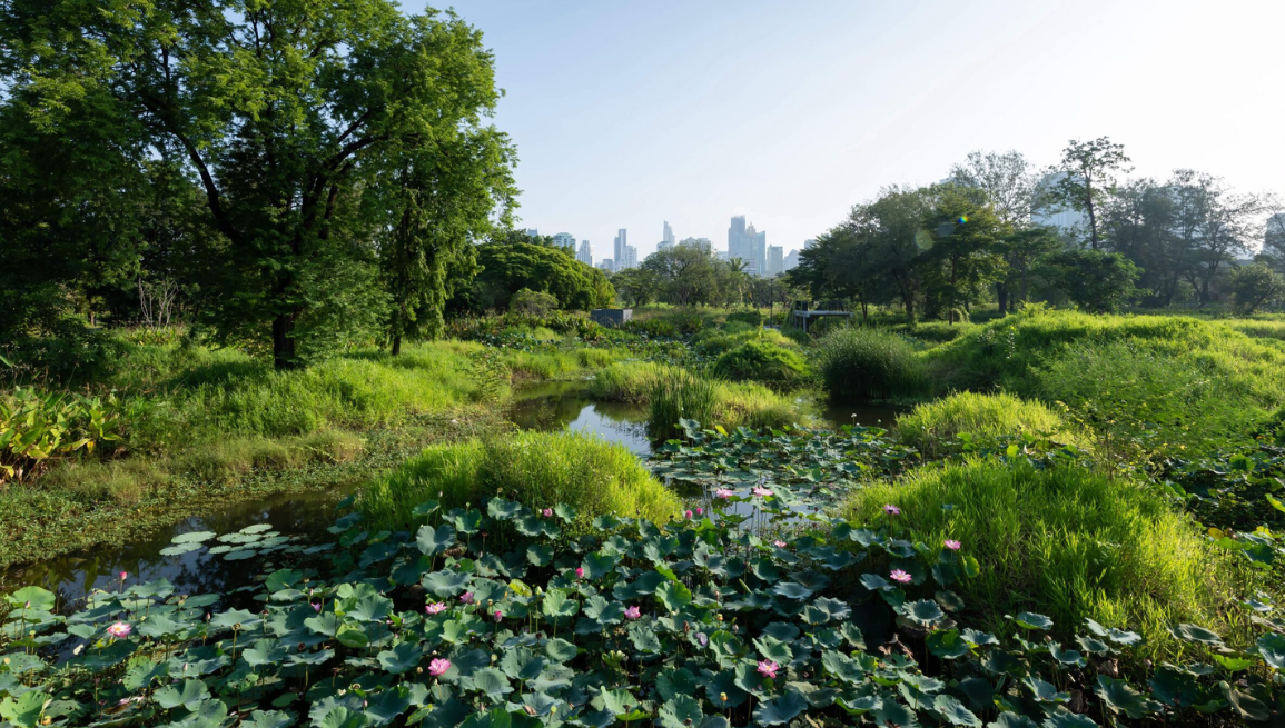 EL PARQUE FORESTAL BENJAKITTI "TRANSFORMACIÓN DE BANGKOK"