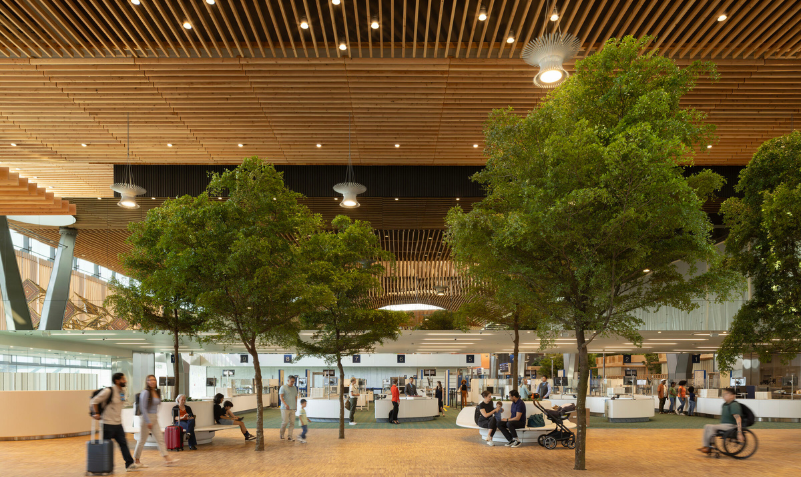 Diseño que Conecta con la Naturaleza y la Comunidad - Terminal Internacional de Portland