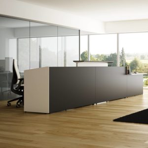 Recepción MAYA by Ismobel