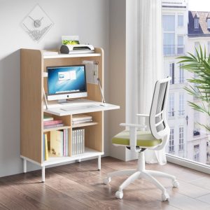 Librero con escritorio plegable